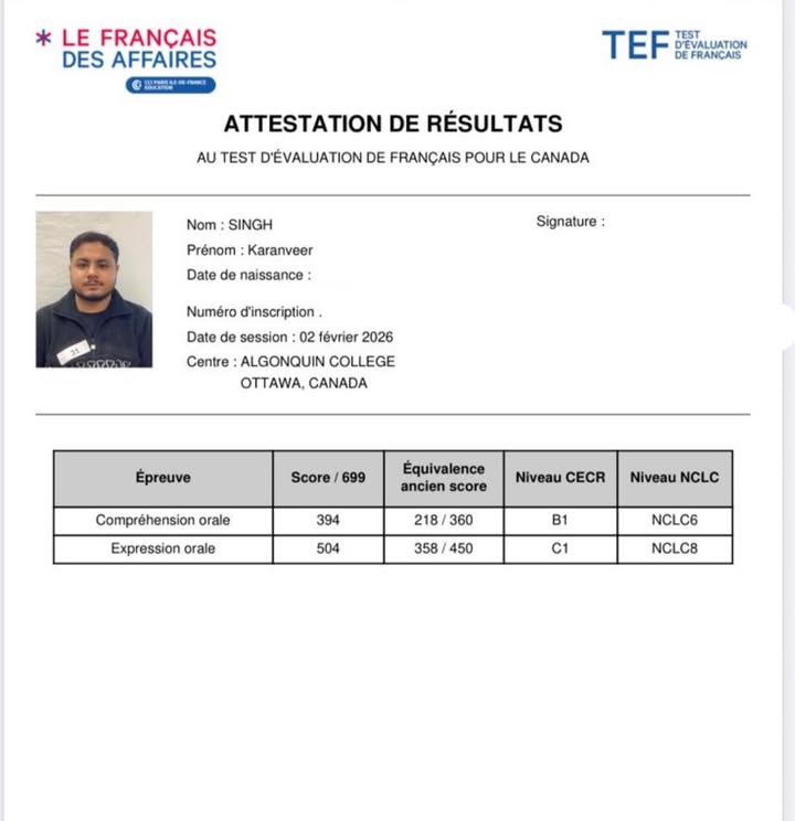 TEF certificate without exam online in Egypt
