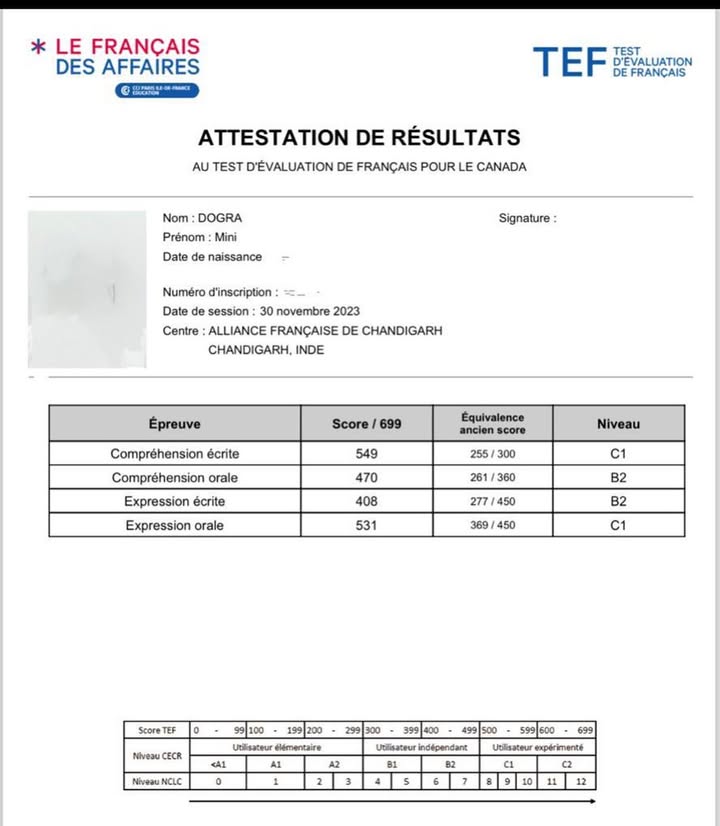 Buy TEF Results Online Pakistan