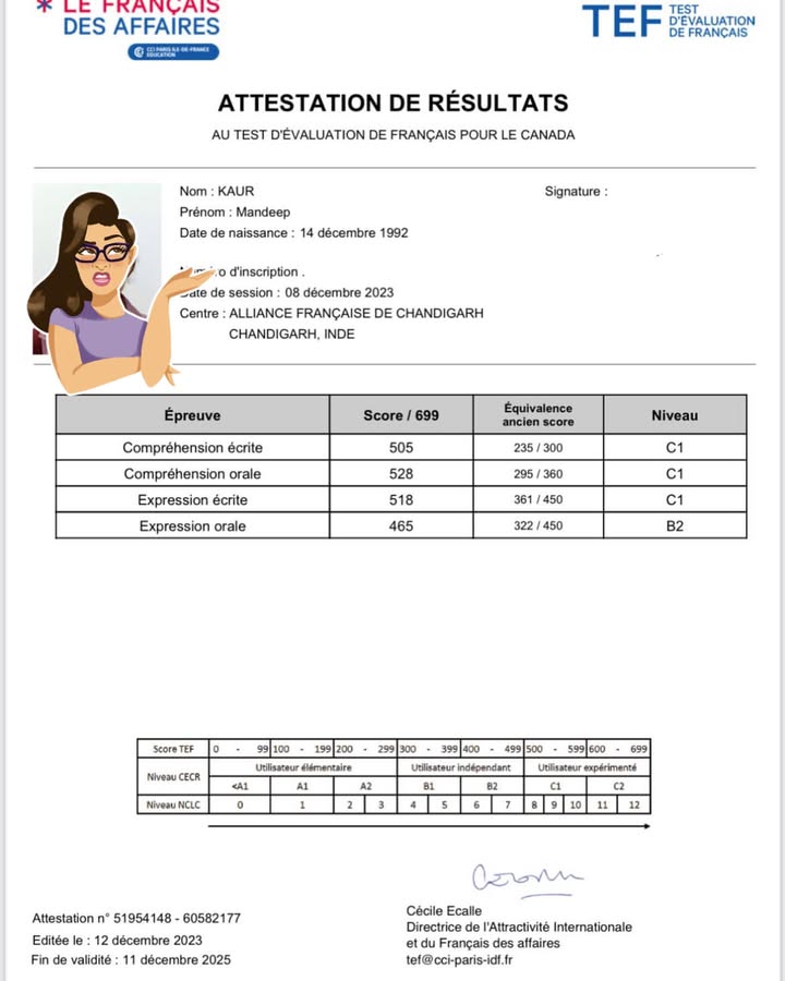 Купить подлинный сертификат TEF в Узбекистане